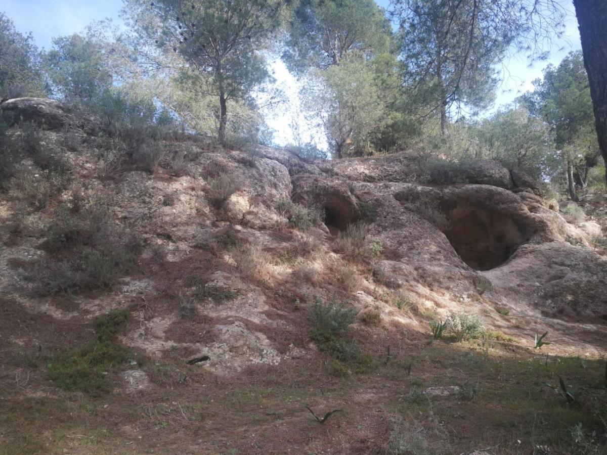 Alojamiento Rural El Paraiso Dإل شورو المظهر الخارجي الصورة