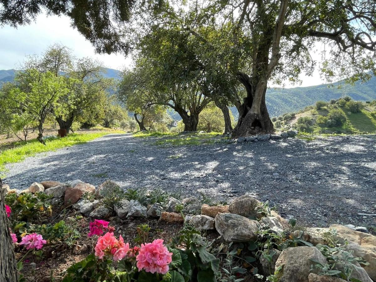 Alojamiento Rural El Paraiso Dإل شورو المظهر الخارجي الصورة